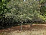 420 Carroll Ridge Rd - Photo 30