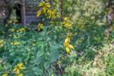 0 Belcher Loop - Photo 26