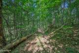 0 Belcher Loop - Photo 29