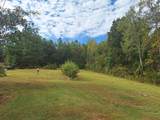 628 Mink Branch Acres Dr - Photo 7
