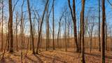 0 Herman Adams Road - Photo 12