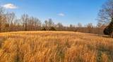 0 Herman Adams Road - Photo 30