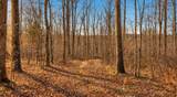 0 Herman Adams Road - Photo 37