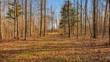 0 Herman Adams Road - Photo 50