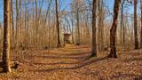 0 Herman Adams Road - Photo 51