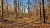 0 Herman Adams Road - Photo 52