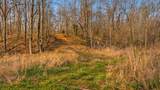 0 Herman Adams Road - Photo 54