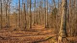 0 Herman Adams Road - Photo 8