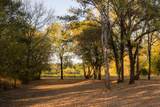 2434 Rally Hill Rd - Photo 16
