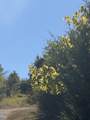0 Bryant Lane - Photo 2