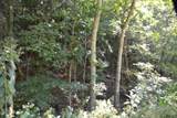 0 Cherry Farm Ln - Photo 13
