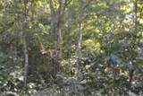 0 Cherry Farm Ln - Photo 18