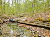 920 Mason Bates Bend Rd - Photo 41