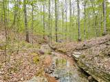 920 Mason Bates Bend Rd - Photo 43