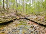 920 Mason Bates Bend Rd - Photo 45