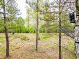 920 Mason Bates Bend Rd - Photo 67