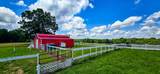 2224 Gap Road - Photo 20