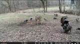 1528 Knob Creek Rd - Photo 28