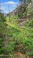 0 Wears Valley Rd - Photo 25