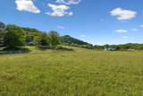 97 Seabo Valley Ln - Photo 14