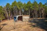3469 Gillespie Ln - Photo 36