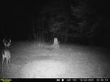 534 Whitney Branch Rd - Photo 43