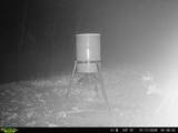 534 Whitney Branch Rd - Photo 47
