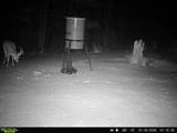 534 Whitney Branch Rd - Photo 48