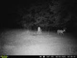 534 Whitney Branch Rd - Photo 49