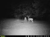 534 Whitney Branch Rd - Photo 50