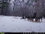 534 Whitney Branch Rd - Photo 51