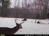 534 Whitney Branch Rd - Photo 52