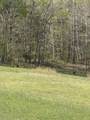 534 Whitney Branch Rd - Photo 59