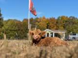 759 Brown Rd - Photo 44