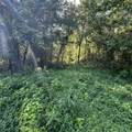 0 Shelbyville Rd - Photo 13