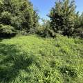 0 Shelbyville Rd - Photo 9