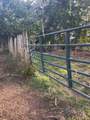 1380 Conrad Templeton Rd - Photo 5
