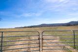 1771 Cornersville Hwy - Photo 25