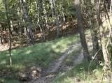 0 Davis Hollow Rd - Photo 5