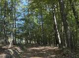 0 Davis Hollow Rd - Photo 9
