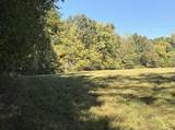 0 Davis Hollow Rd - Photo 10