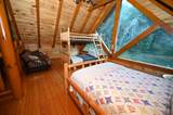 1114 Black Bear Cub Way - Photo 5