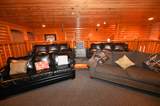 1114 Black Bear Cub Way - Photo 7