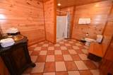 1114 Black Bear Cub Way - Photo 9