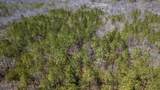 0 Country Side Ln Lot #51 - Photo 11