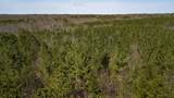 0 Country Side Ln Lot #51 - Photo 10