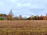 0 Dice Lampley Road - Photo 11
