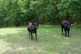 180 White Rd - Photo 58
