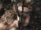 0 Hudson Rd - Photo 18