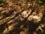 0 Hudson Rd - Photo 19